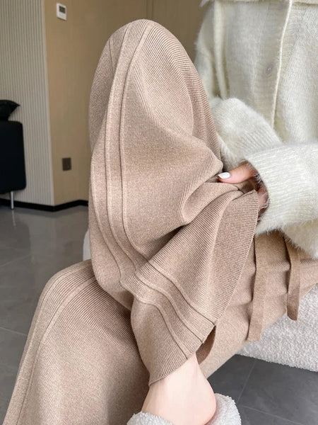 Wool - Blend Pleated Thick - Knit Palazzo Pants - Wigging It Etc